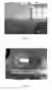 Fig. 04 - ASSAY FOR MEASURING ROOTWORM RESISTANCE