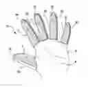 Fig. 01 - Finger jacket