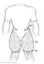 Fig. 01 - Garment