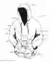 Fig. 01 - Garment Having Work Revealing Window and Method of Use