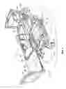 Fig. 02 - Ground sensor control of foot section retraction