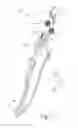Fig. 04 - Removal and replacement tool for vehicles