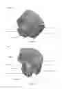 Fig. 06 - Apparatuses, Systems and Methods for the Attachment of Substrates to Supports with Light Curable Adhesives
