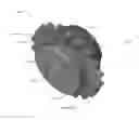 Fig. 09 - Apparatuses, Systems and Methods for the Attachment of Substrates to Supports with Light Curable Adhesives