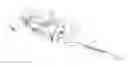Fig. 01 - Hand-held hedge shears