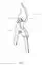 Fig. 02 - Garden shears