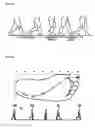 Fig. 02 - INSOLE FOR SHOES