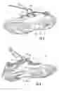 Fig. 04 - Footwear lacing system