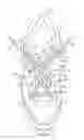 Fig. 04 - Article of footwear with dual lacing system