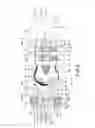 Fig. 03 - Length-adjustable snowshoe