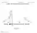 Fig. 05 - Genetically modified hosts for lipid production