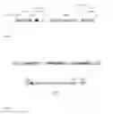 Fig. 06 - Genetically modified hosts for lipid production