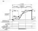 Fig. 07 - Fuel addition control method applied to exhaust emission purifier of internal combustion engine and exhaust emission purifier