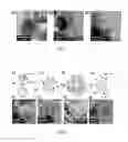 Fig. 07 - Distributed Ignition Of Fuels Using Nanoparticles