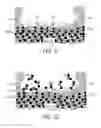 Fig. 06 - METHOD OF MAKING AN ELECTRICALLY CONDUCTIVE STRUCTURE, METHOD OF MAKING A GAS SENSOR, GAS SENSOR OBTAINED WITH THE METHOD AND USE OF THE GAS SENSOR FOR SENSING A GAS