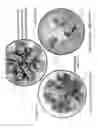 Fig. 05 - Scale-Up Device For Testing Bit Balling Characteristics