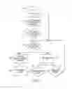 Fig. 10 - Magnetostrictive probe having phase separation float assembly