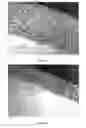 Fig. 05 - Chemical agents for leaching polycrystalline diamond elements
