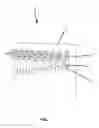 Fig. 02 - Musical instrument mechanically activated