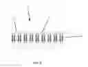 Fig. 05 - Musical instrument mechanically activated