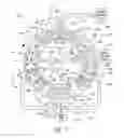 Fig. 02 - ROTARY FLUID PROCESSING SYSTEMS AND ASSOCIATED METHODS
