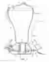 Fig. 02 - Liquid bird feeder