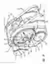 Fig. 12 - Two-cycle, opposed-piston internal combustion engine