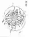 Fig. 28 - Two-cycle, opposed-piston internal combustion engine