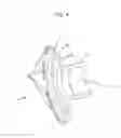 Fig. 04 - CAMSHAFT ADJUSTER