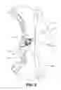 Fig. 03 - Rotating archery arrow rest