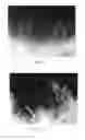 Fig. 17 - Method for removal of beryllium contamination from an article
