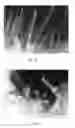 Fig. 18 - Method for removal of beryllium contamination from an article