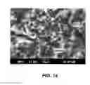 Fig. 19 - ARRAYS OF FILLED NANOSTRUCTURES WITH PROTRUDING SEGMENTS AND METHODS THEREOF