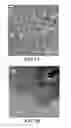 Fig. 02 - AGGREGATE PARTICLES OF TITANIUM DIOXIDE FOR SOLAR CELLS