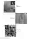 Fig. 04 - AGGREGATE PARTICLES OF TITANIUM DIOXIDE FOR SOLAR CELLS
