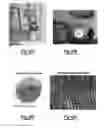 Fig. 09 - Silicon-based solar cell with eutectic composition