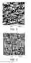 Fig. 03 - ORGANIC SOLAR CELL