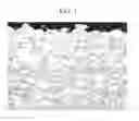 Fig. 02 - High-strength galvanized steel sheet and method of manufacturing the same