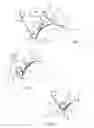Fig. 04 - Method and device for changing the condition of a web of foil