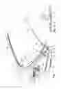 Fig. 02 - Roller blind system for a motor vehicle