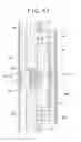 Fig. 11 - Downhole tool thermal device
