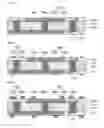 Fig. 05 - Multilayer printed circuit board and method of manufacturing the same