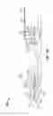 Fig. 19 - Linkage assembly for drilling or mobile well servicing rig braking system