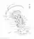 Fig. 06 - Engagement control assembly for a bi-directional overrunning clutch