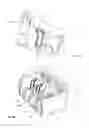 Fig. 06 - Functional separating spacer of the cartridges in a multipole switchgear device and circuit breaker