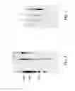 Fig. 07 - METHOD FOR ELECTROELUTING GENETIC MATERIAL FROM DRIED SAMPLES