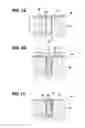 Fig. 02 - Electroplating method