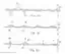 Fig. 05 - Package for consumer product