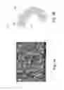 Fig. 07 - Three-dimensional porous polyurea networks and methods of manufacture