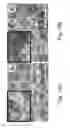 Fig. 20 - Three-dimensional porous polyurea networks and methods of manufacture